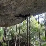 田中 暁